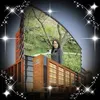 hientrinh7093