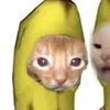 mel_pamd