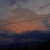 stefa_592