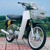 lamle.1997