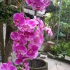 .thanh.bnh0