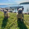 sodakfrenchies