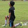 kelvin.hidayat.jr