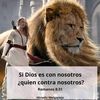 iri785151618461946494649
