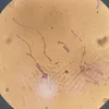 sigma_docror