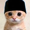 abdul.majid_04
