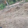 matheusdias591