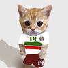 mexican_cat121