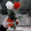 wq_mwa_27