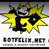 kotfelix.net