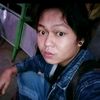 apin0733