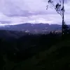 anibalgonzalez731