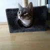 baerlinator