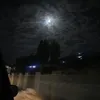 dannyofcgoat