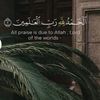 user62022724500508