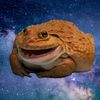 cosmic_frog4