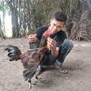 wawan_calonrw