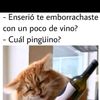carlosmaldonadomo6