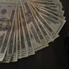 kingcards43
