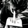 rifkyzzz02