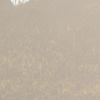 donaldo_.cr7