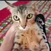 fajar_gbtz__d7