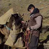 omar.escko