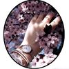alamalb23