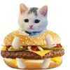 phugern8