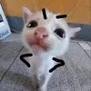 suytnhincgi