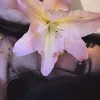 _anuxxsw_