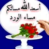 user67587033895076
