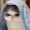 manhquaann