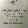 salwa.4554