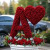salma58862