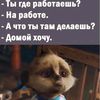 user8769038756157