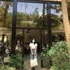 v.anh336
