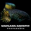 maulana aquatic 01