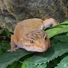 czasemduzospie