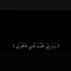 sham_15_4