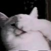 arinanonimys_