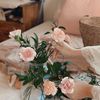 nora_r8