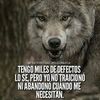 lobodavalos