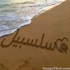 dy6il51nefma