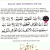 moulajami801