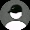 pxz.david