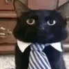 alexjonathas539