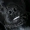 itypewithmynose69