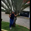 jandarega