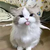 thutrangluv